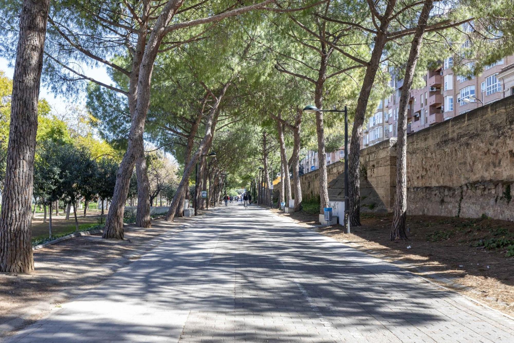Apartup Turia River Park Valenza Esterno foto