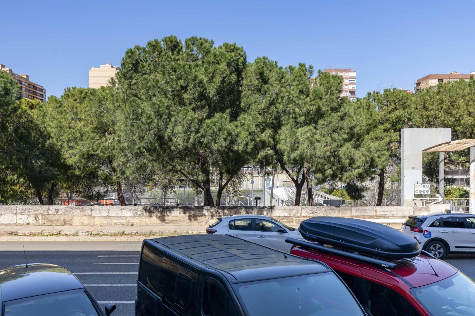 Apartup Turia River Park Valenza Esterno foto